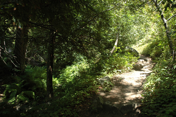 Soberanes Canyon 087.jpg